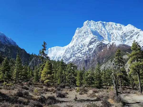 Beautiful mountain seen from chame village