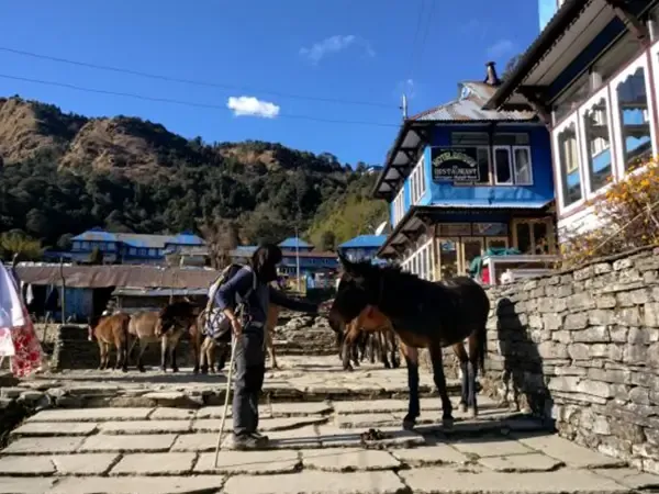 10 Reasons Why You Should Visit Nepal: More Than Just Expeditions