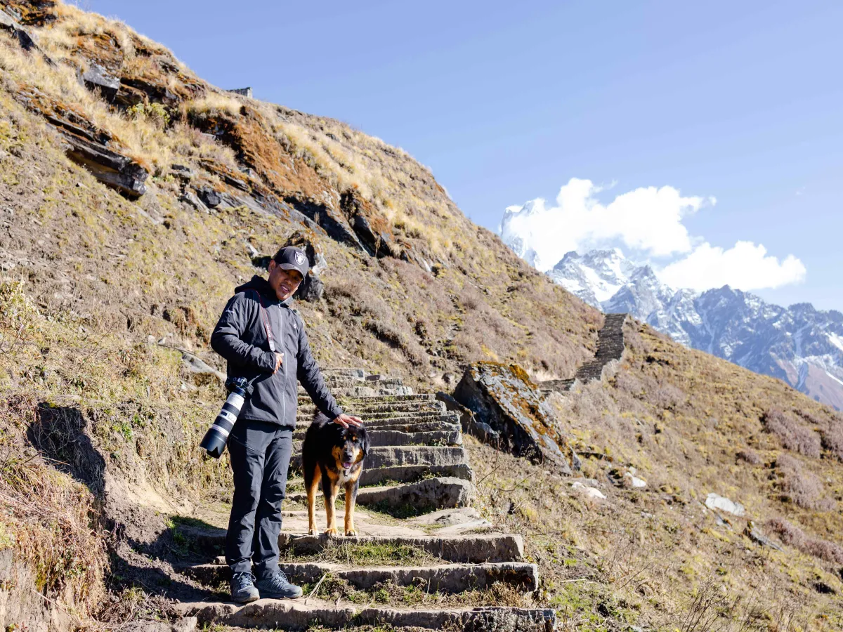 A dog seen on the trail during trek to mardi himal
