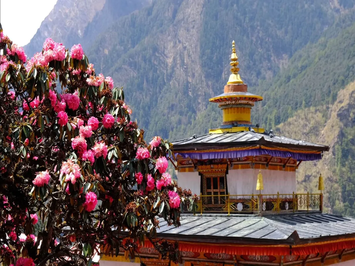 Beautiful nyak village monastery near the Rhodendron tree