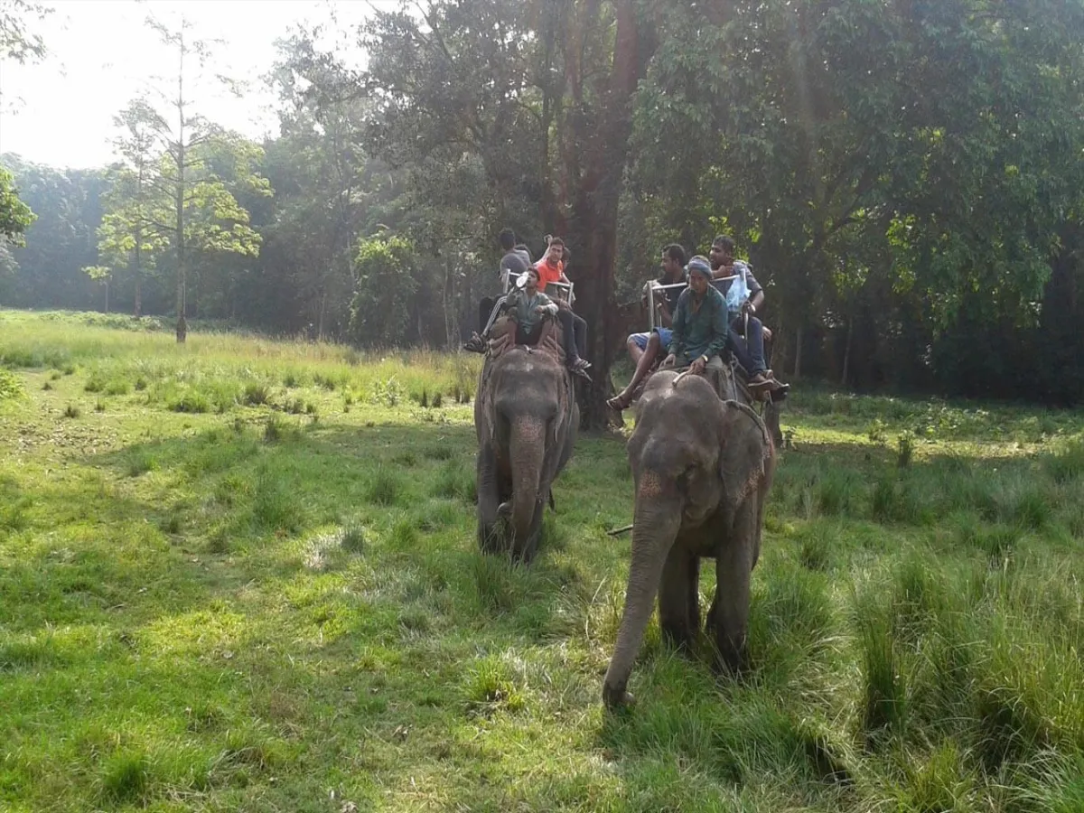 Chitwan Jungle Safari Tour
