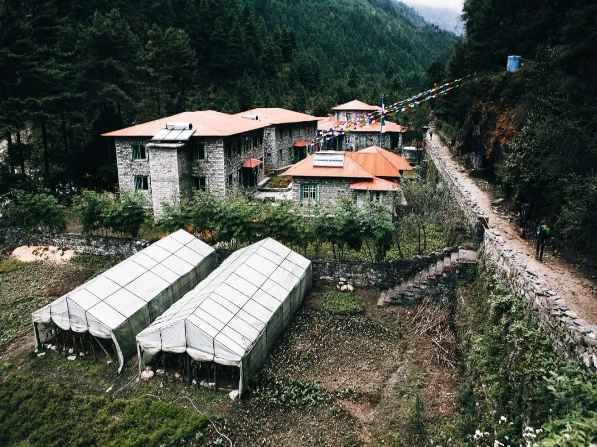Lush green tea house in Phakding