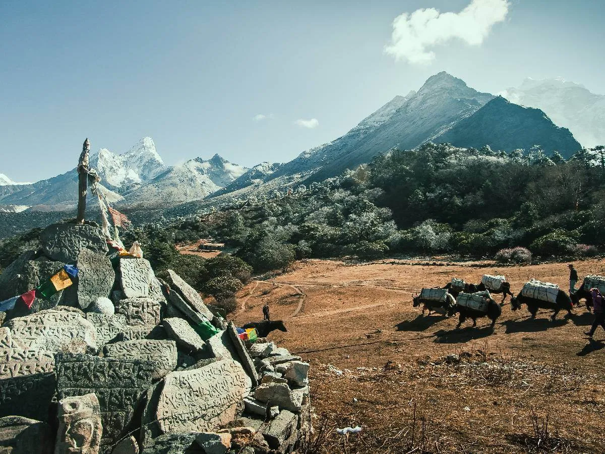 Mani stones yaks and alpine meadow at Namche Bazaar