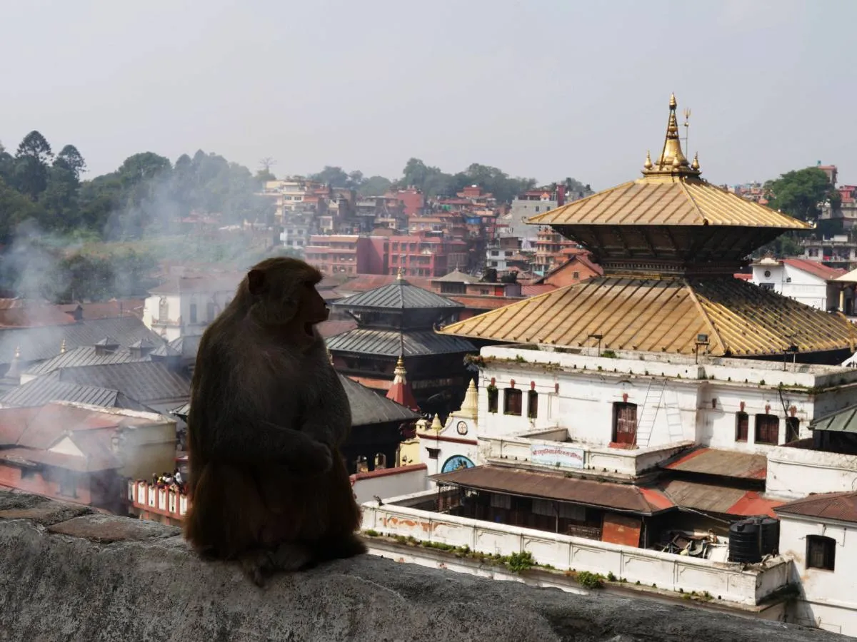 Pashupatinath Temple