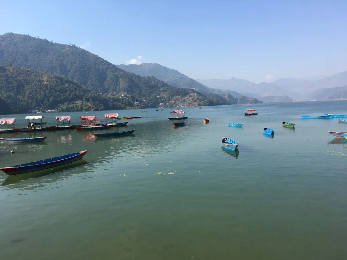 Phewa lake