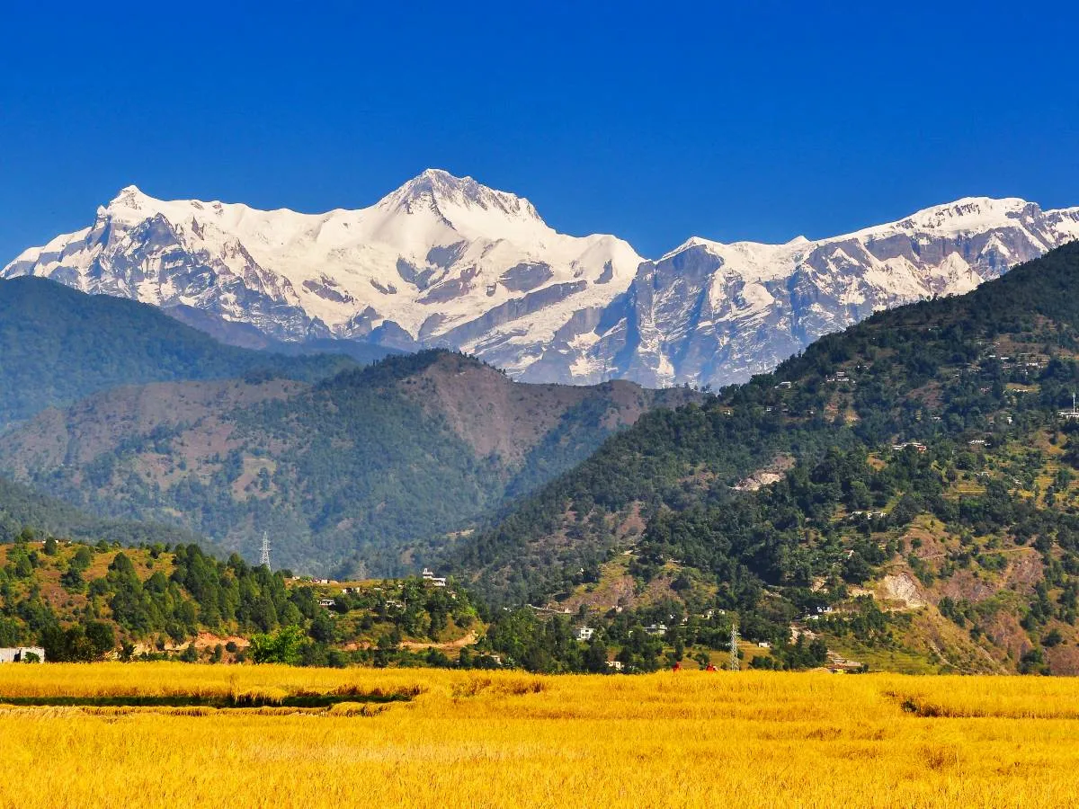 Plain land and Annapurna