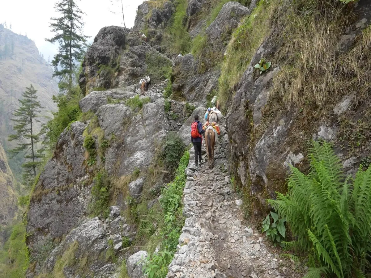 Trekking to Tsum valley