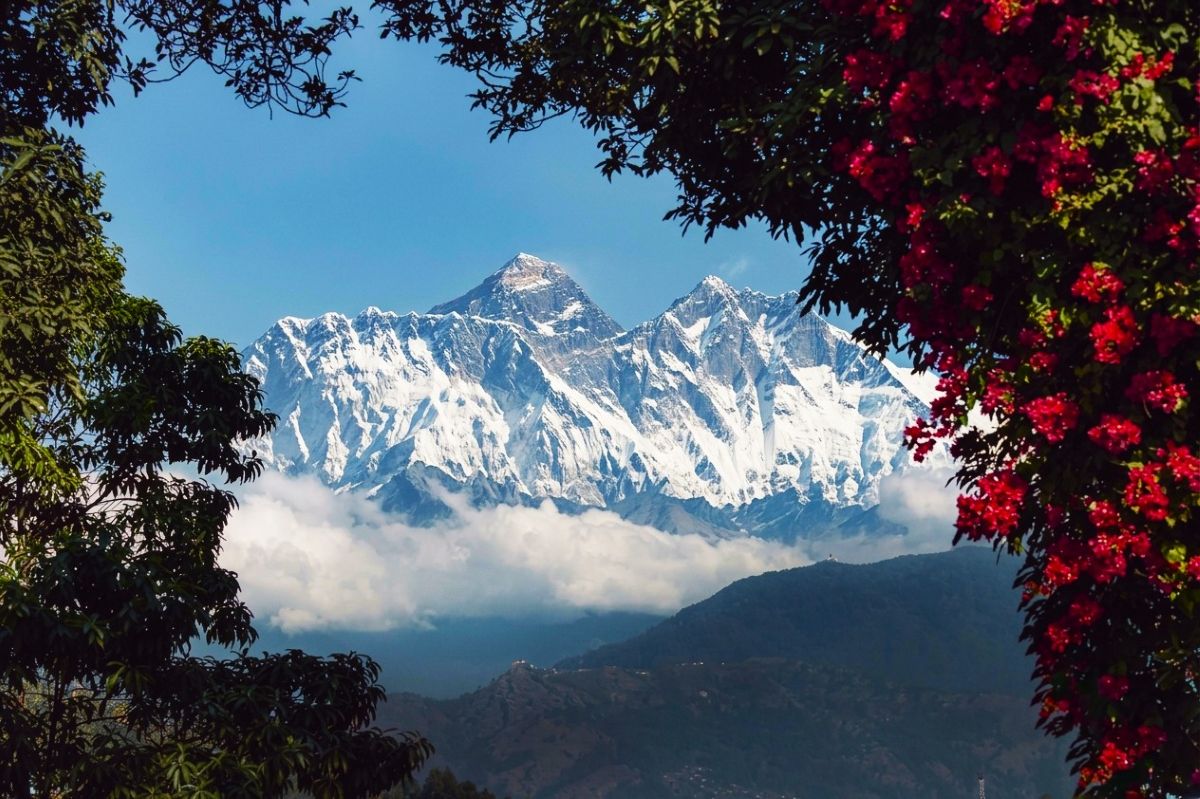 Rhododendron and everest peaks perfect views in spring at Gokyo