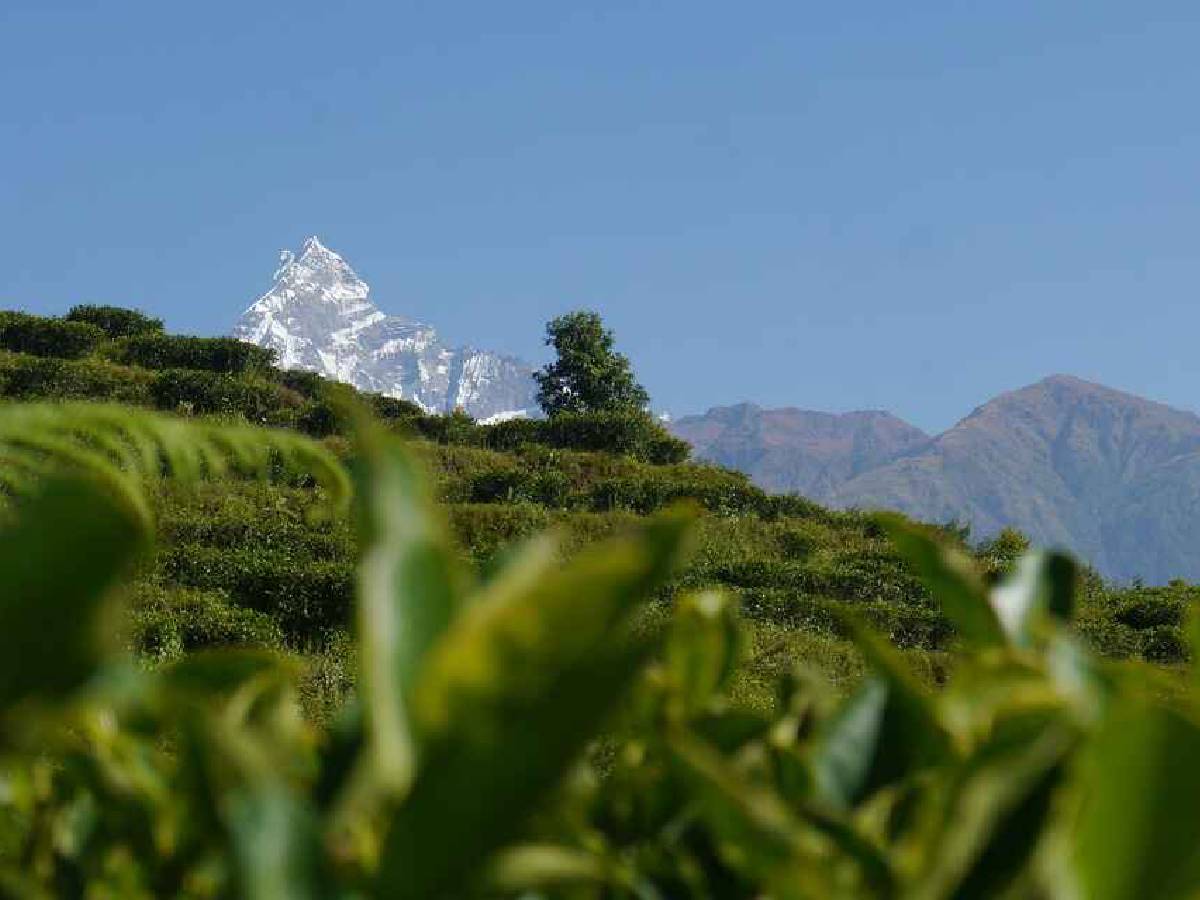 Beautiful views of the fish tail peak
