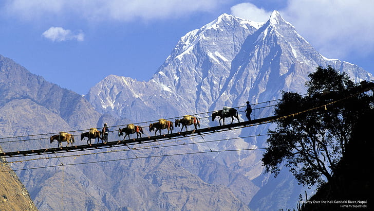 Suspension bridge over the Kali Gandaki River in Jomsom, Nepal, with mountain peaks in the background.