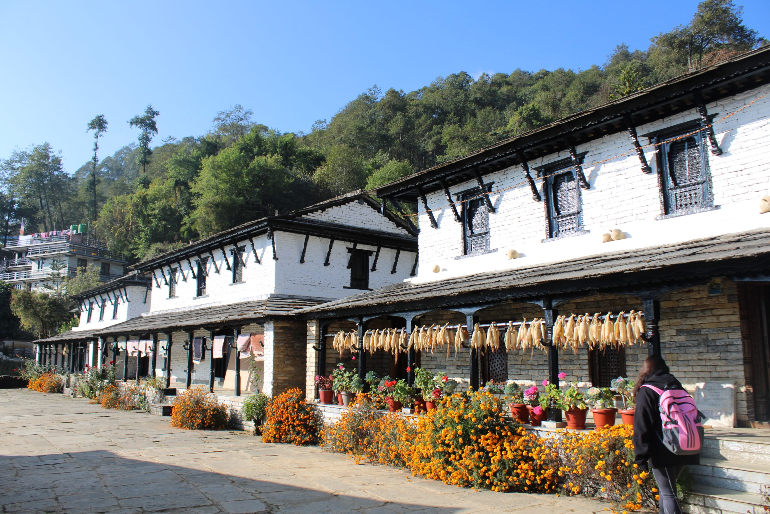 A cozy tea house nestled along the Annapurna Base Camp trek route with mountain views.