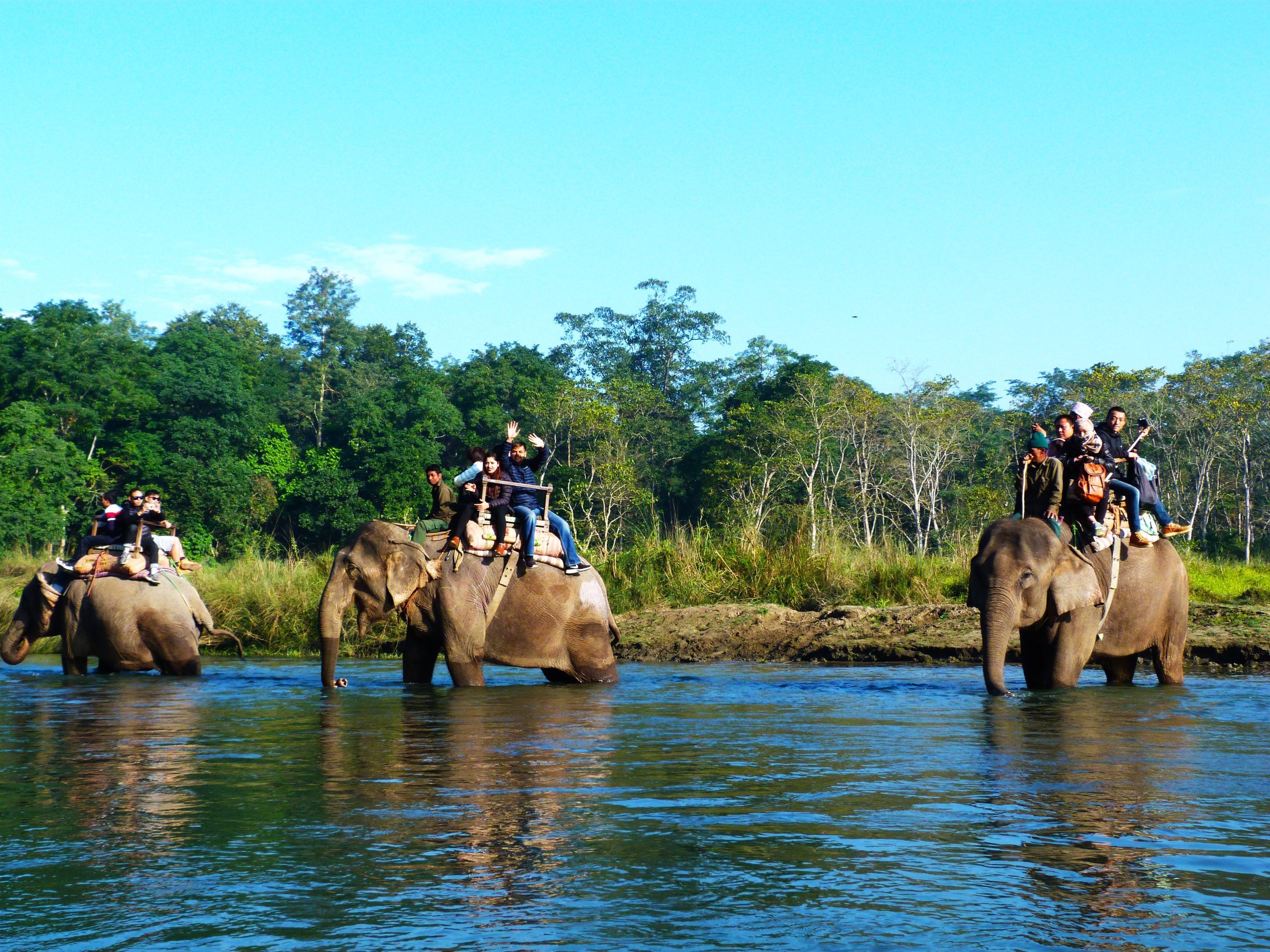 Chitwan national park.