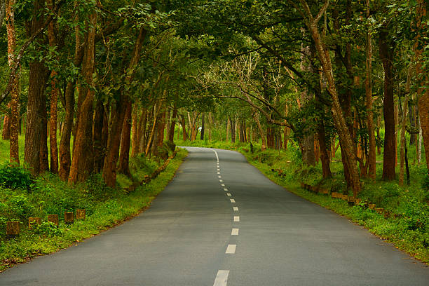 A scenic highway surrounded by lush green forests winding towards Bandipur.