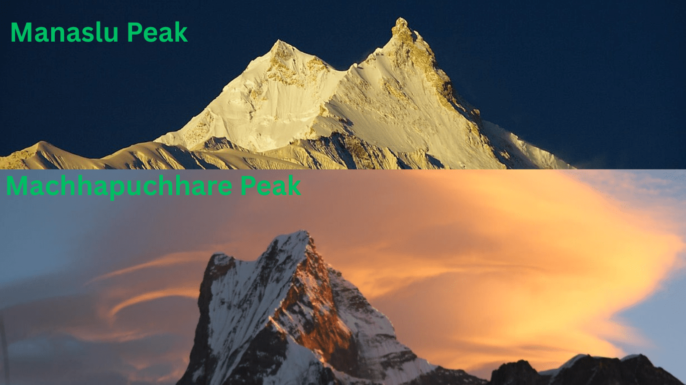 A striking comparison of Manaslu and Machapuchhare—two iconic Himalayan peaks with distinct shapes and elevations.