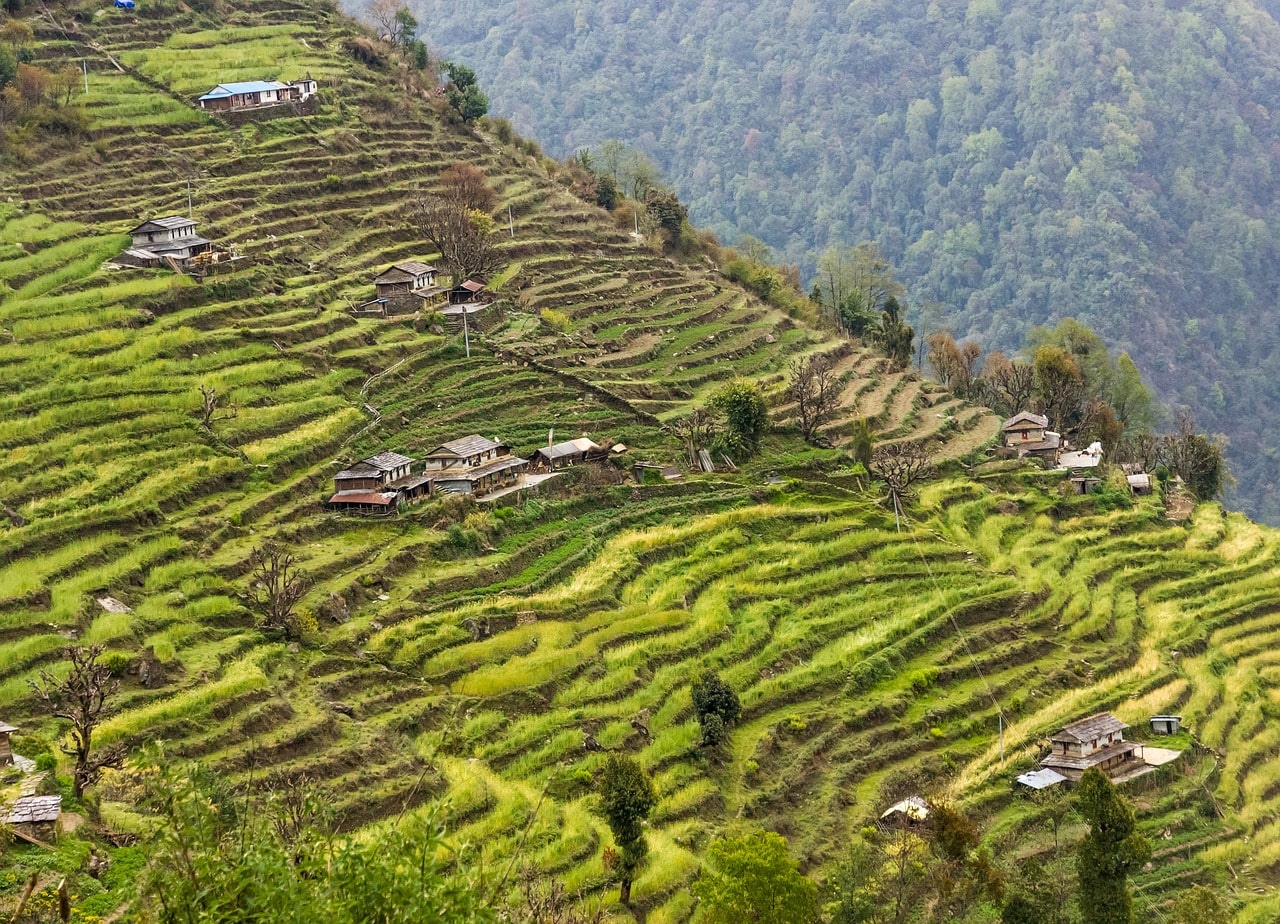 A small, lush green settlement nestled in the hills, seen during a Himalayan trek.