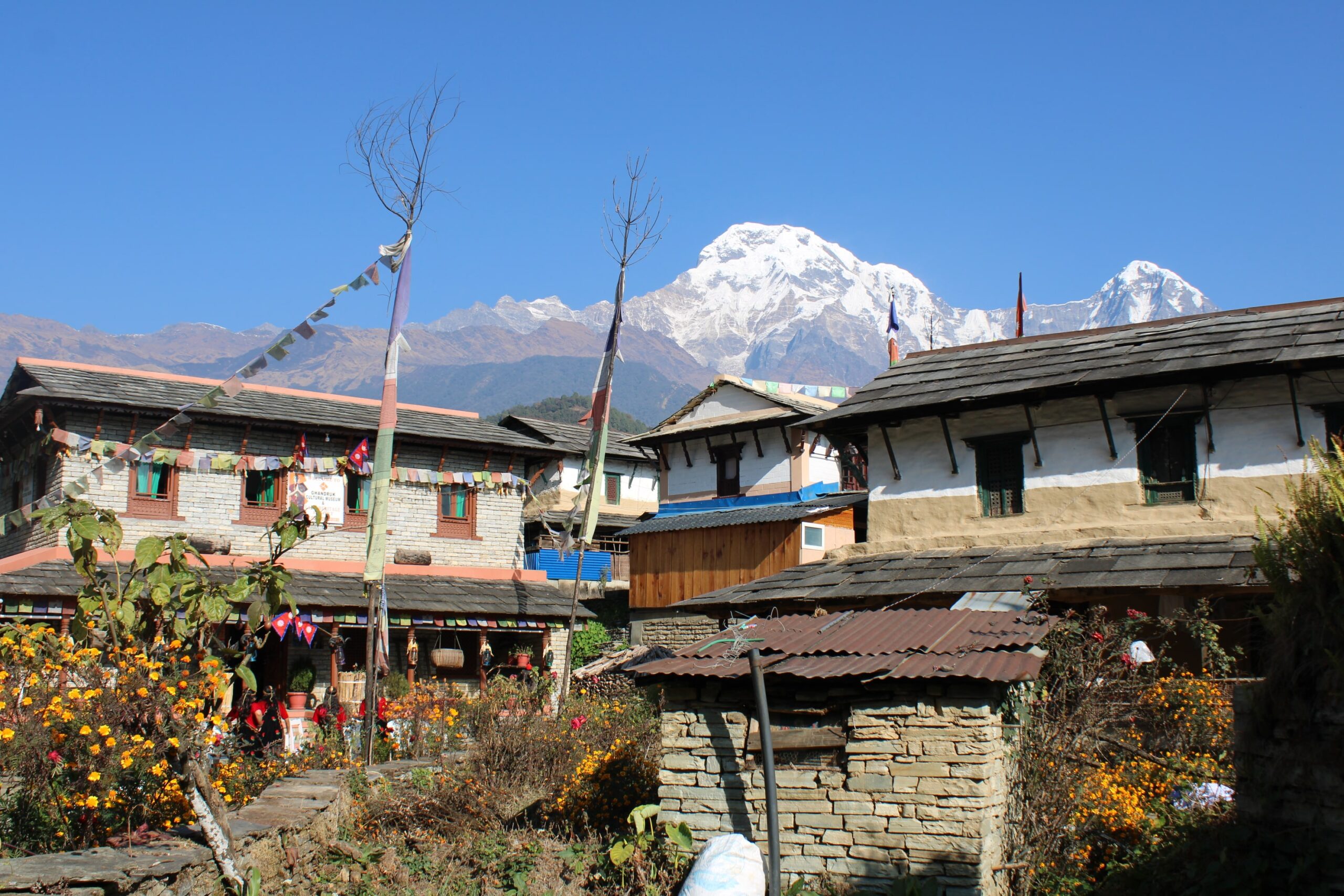 Traditional Gurung houses along the trail, with lush greenery and mountains in the background.