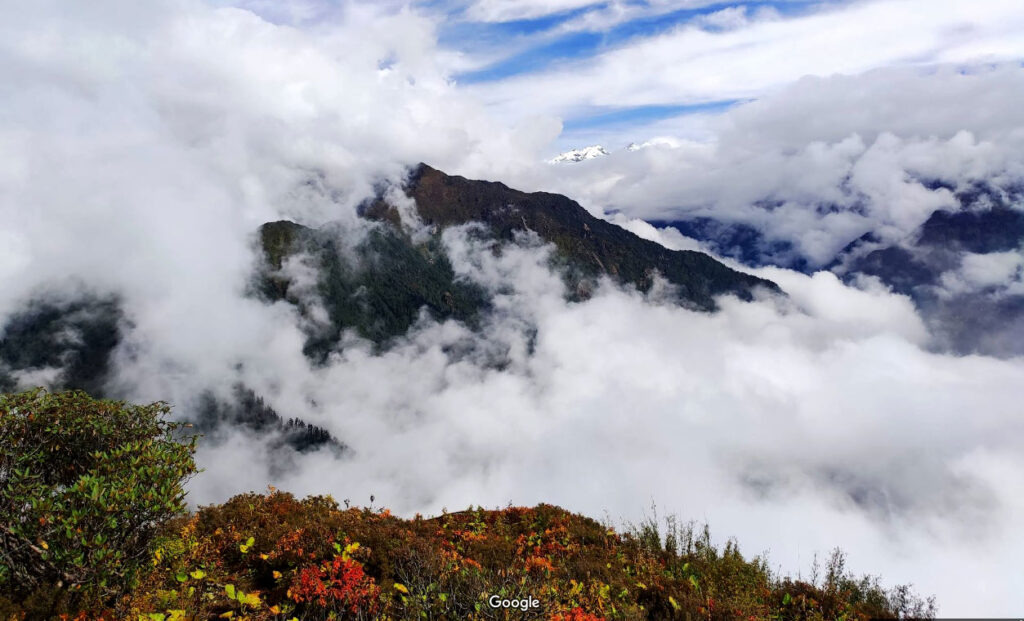 Aama Yangri Cloud Forest