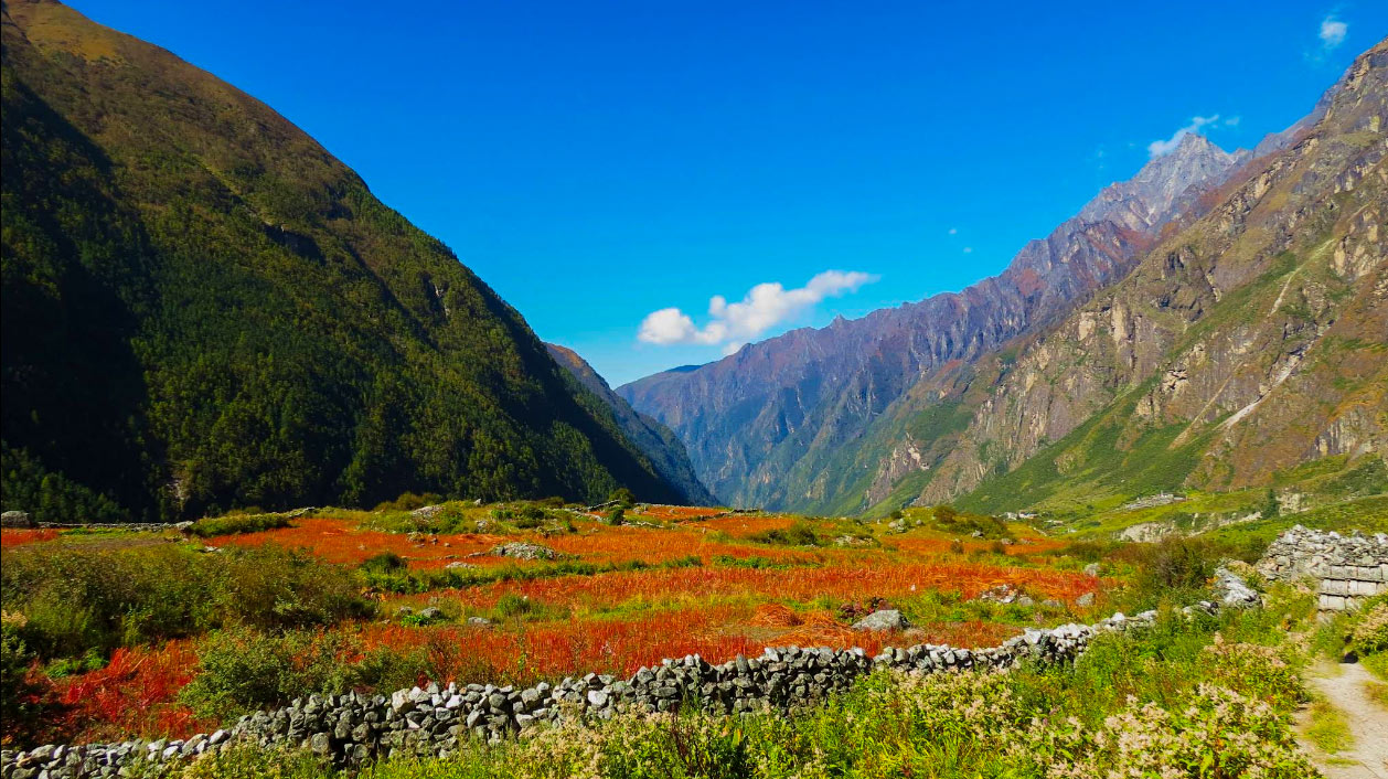 Langtang National Park in Monsoon