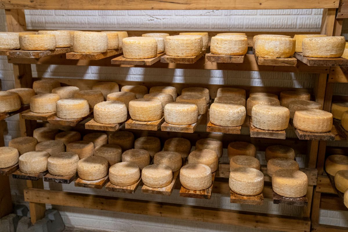 Yak cheese factory Langtang Village