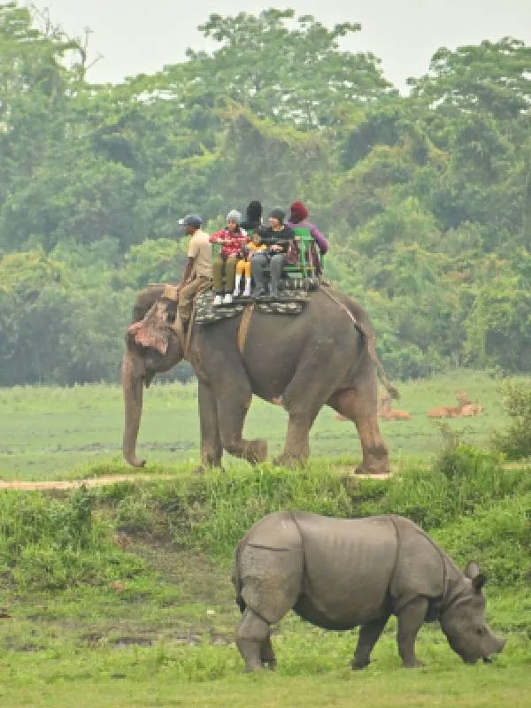 Bardiya National Park