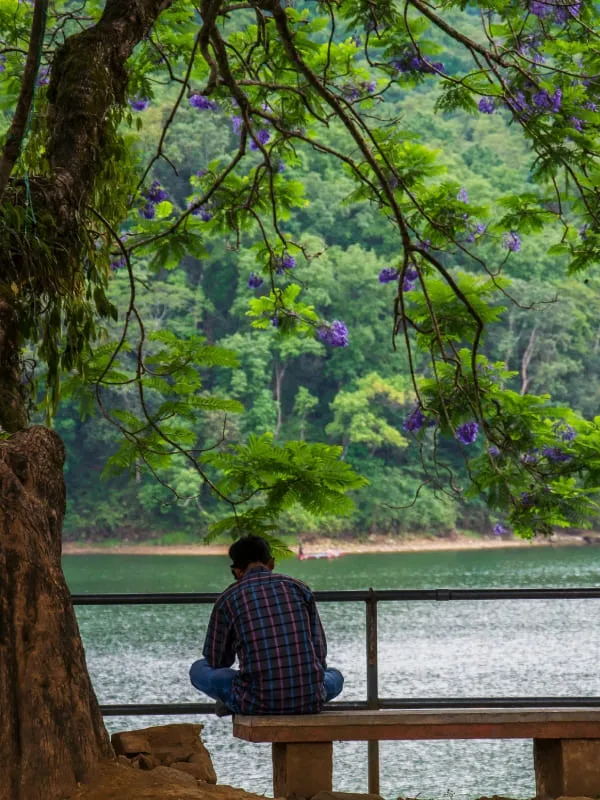 Beautiful moment captured in Begnas lake