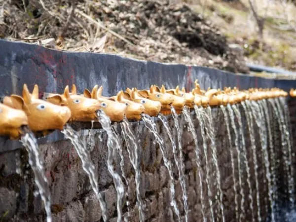 108 Sprouts   Of Muktinath Temple