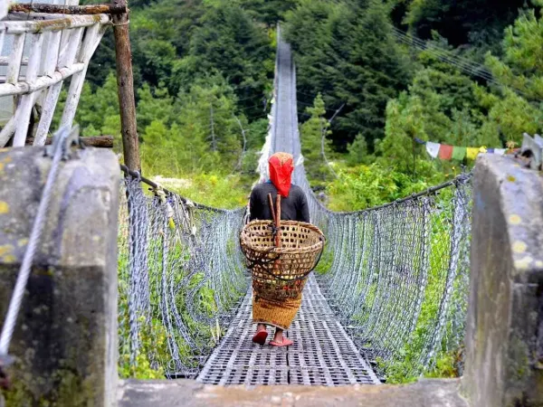 A Woman Carrying Doko And Crossing The Swinging Bridge