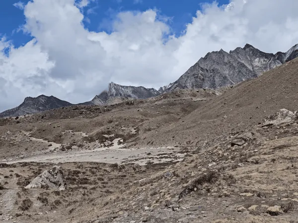 Alpine Meadow Of Lobuche Region