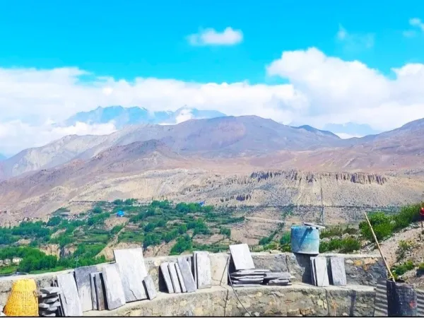 Alpine Meadow Seen From Jomsom