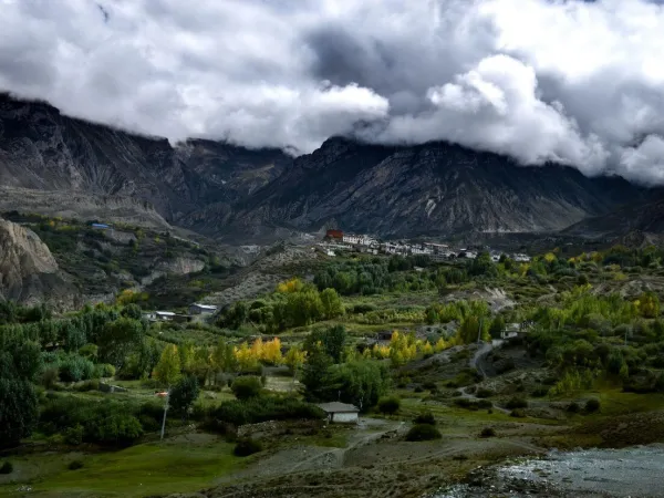 Beautiful Landscape Of Mustang