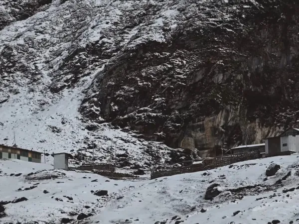 Beautiful Tea House Of Barun Valley National Park