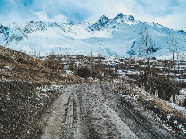 Beautiful Views Of Mustang In Winters