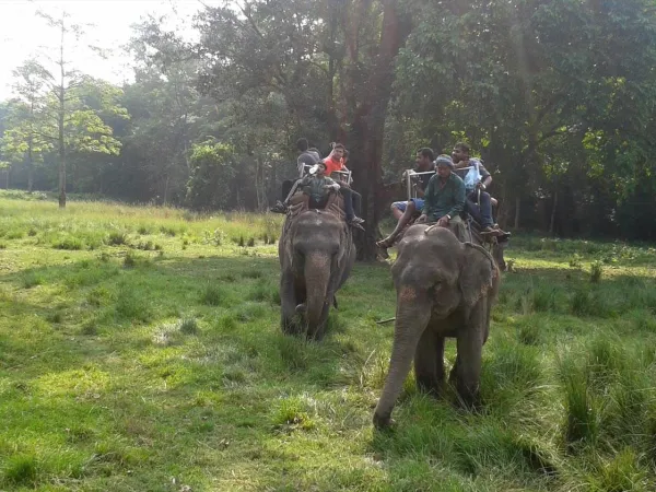 Chitwan Jungle Safari Tour