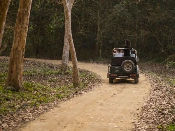 Jungle Safari Ride