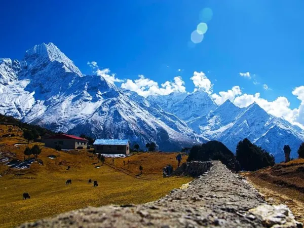 Langtang Mountains View Village