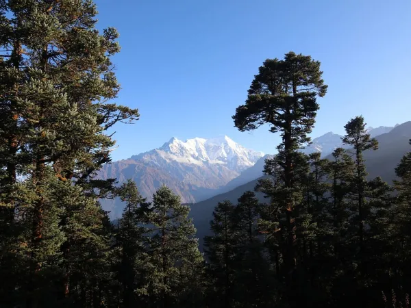 Langtang Ranges Seen From The Trail