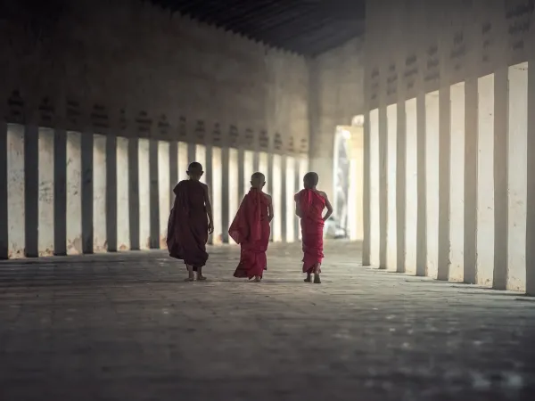 Monk Walking In Lumbini 1