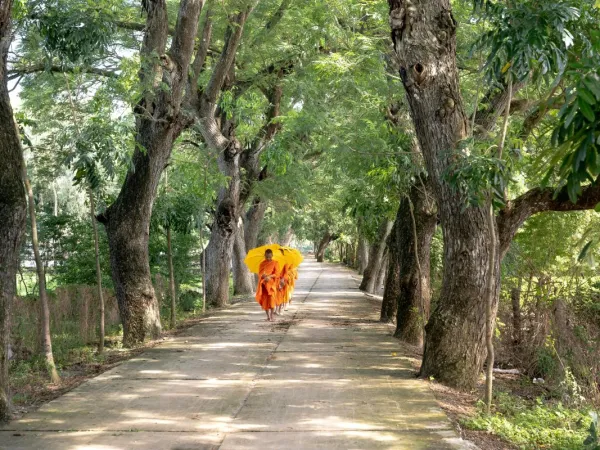 Monks Walking In Garden Of Lumbini