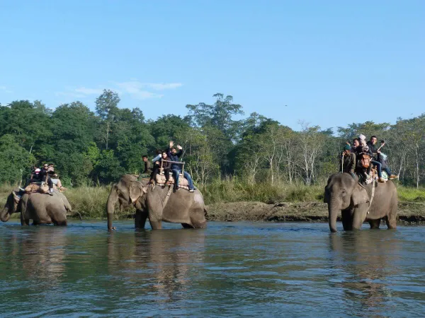 People Doing Jugnle Safari