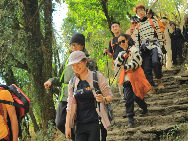 Trekkers Getting Down From Abc To Bamboo