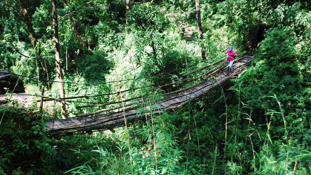 lush-green-bamboo-village-annapurna