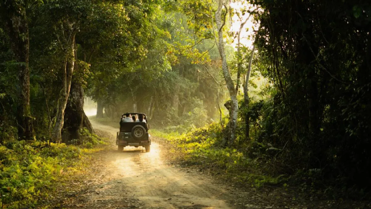 people-doing-jungle-safari