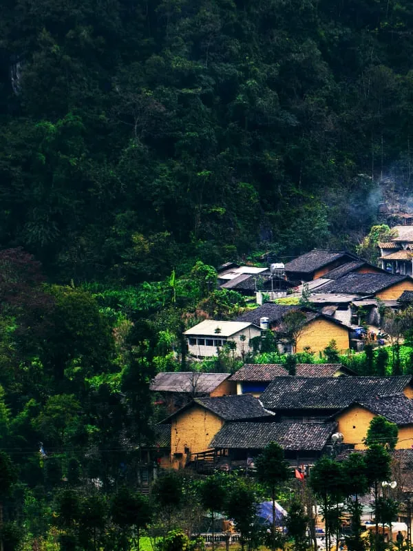 Lush green chitlang village