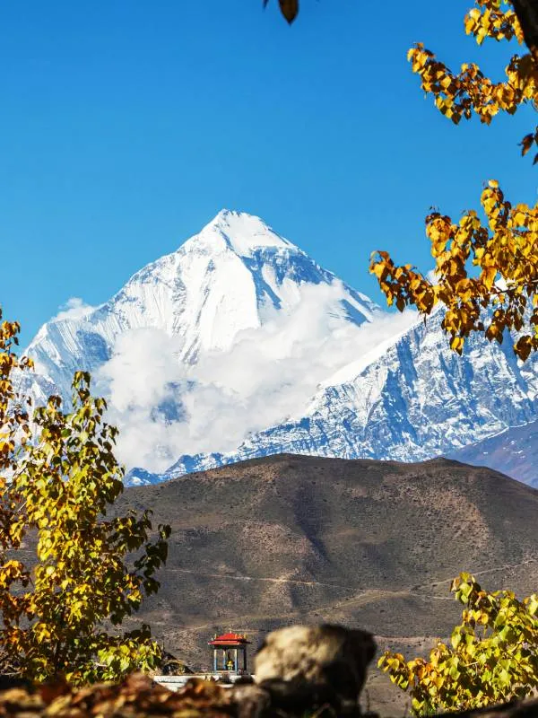 Mount Lhotse expedition