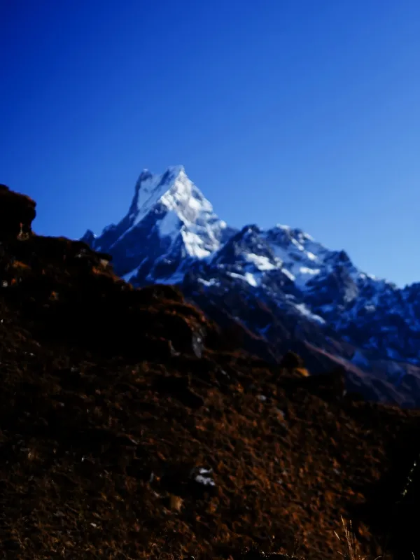 Views from Mardi Himal